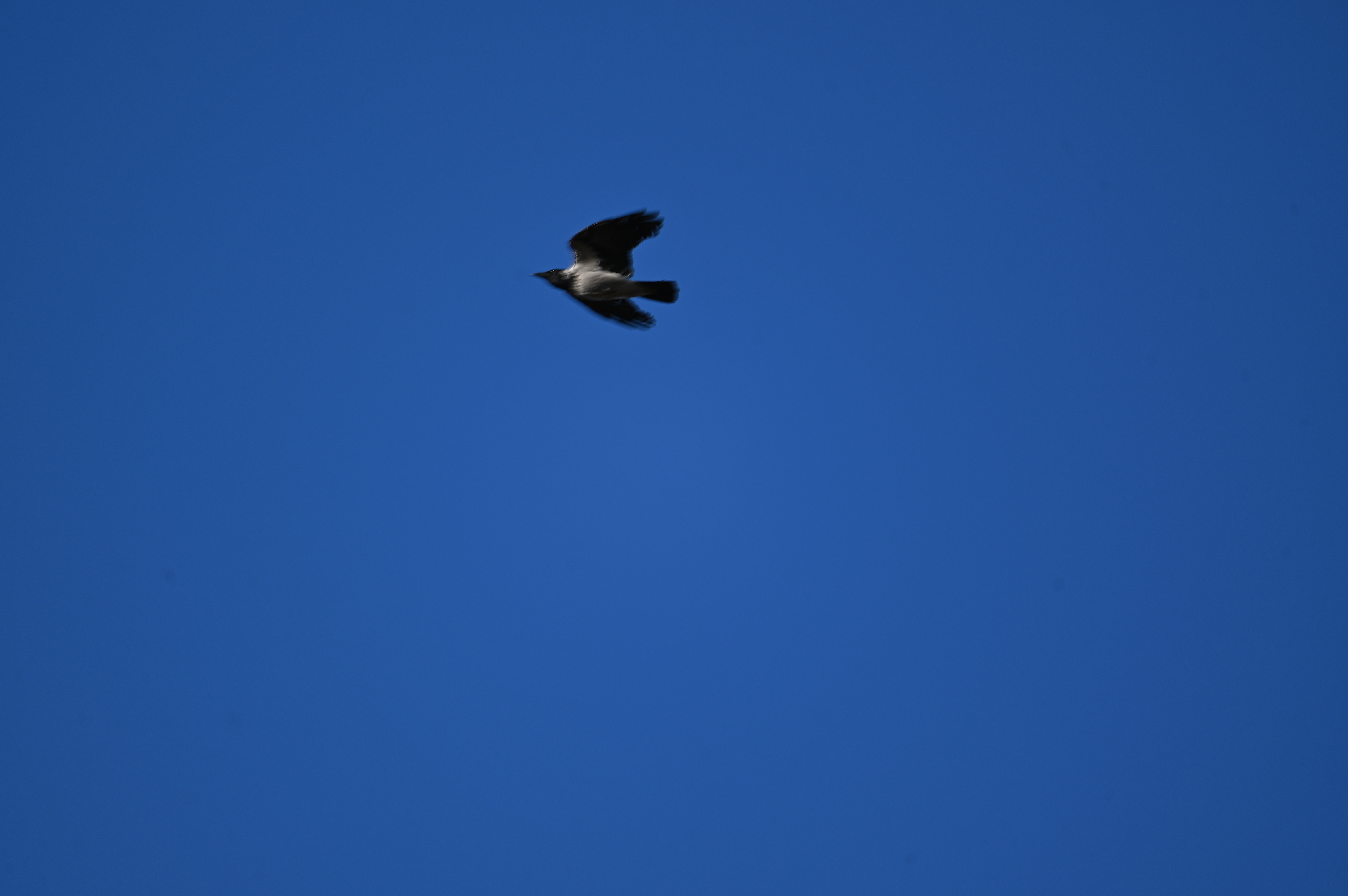 2025/10/18 - walk/DSC_0106.JPG